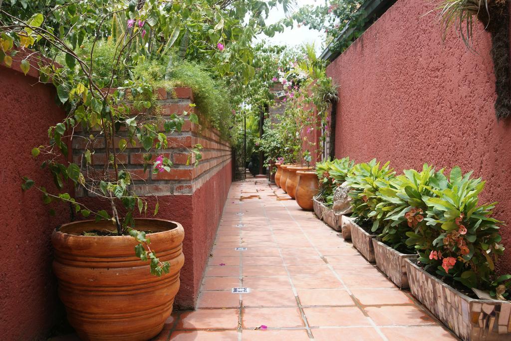 Corail Suites Jacquet Oda fotoğraf